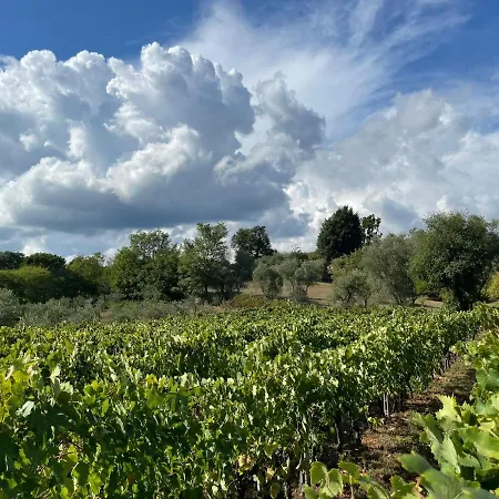 All'ombra Del Tiglio