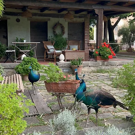 All'ombra Del Tiglio