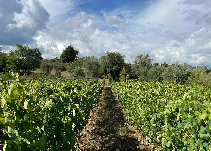 All'ombra Del Tiglio
