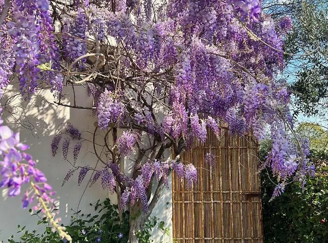 All'ombra Del Tiglio Lantgård Pistoia