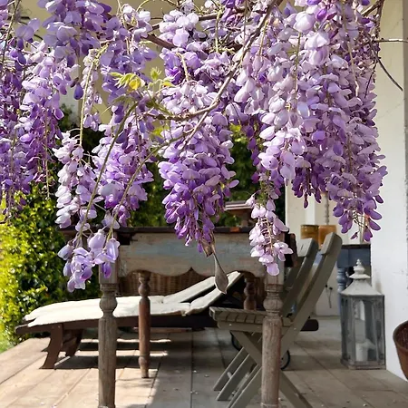 Farm stay All'ombra Del Tiglio *
