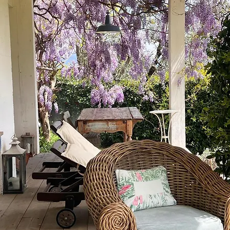 Farm stay All'ombra Del Tiglio *